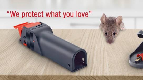 Ocenenie pascí na myši, ktoré sú účinné a zodpovedné k právam zvierat